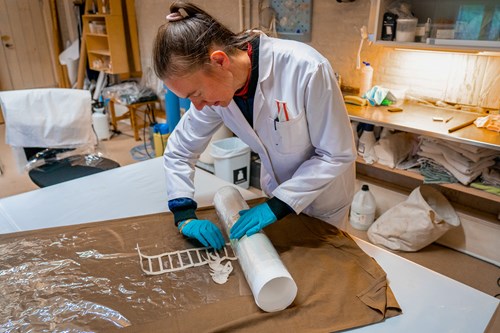 Bevaring af jakobsstigen