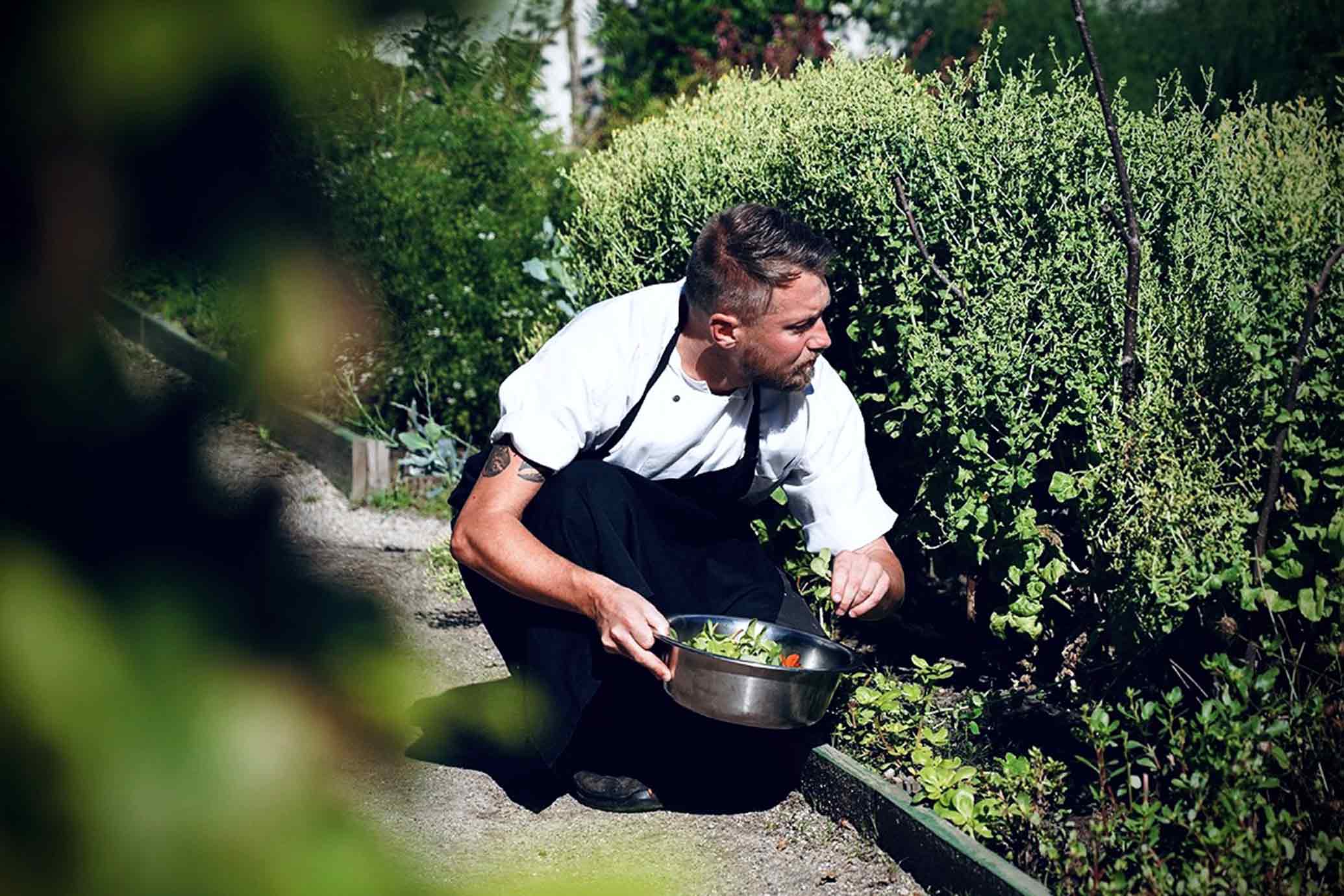 Købmands&shy;gårdens køkkenhave