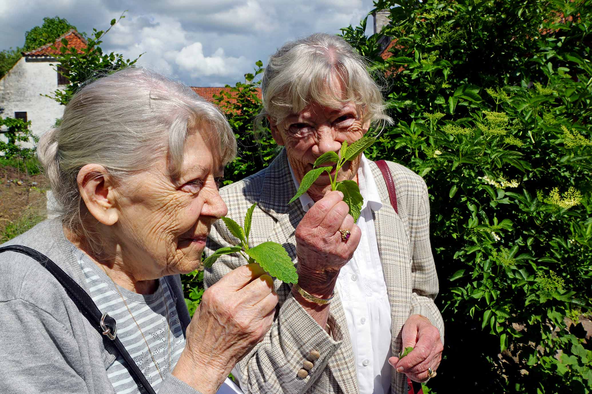 Til kaffe <br> i haven