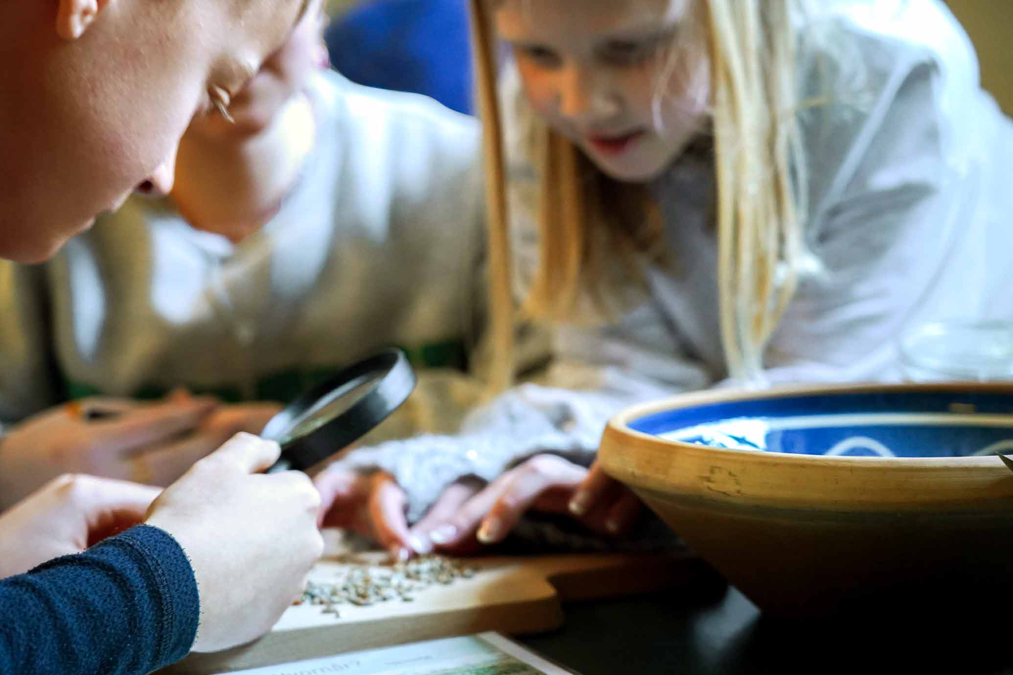 Mad på bordet - korn